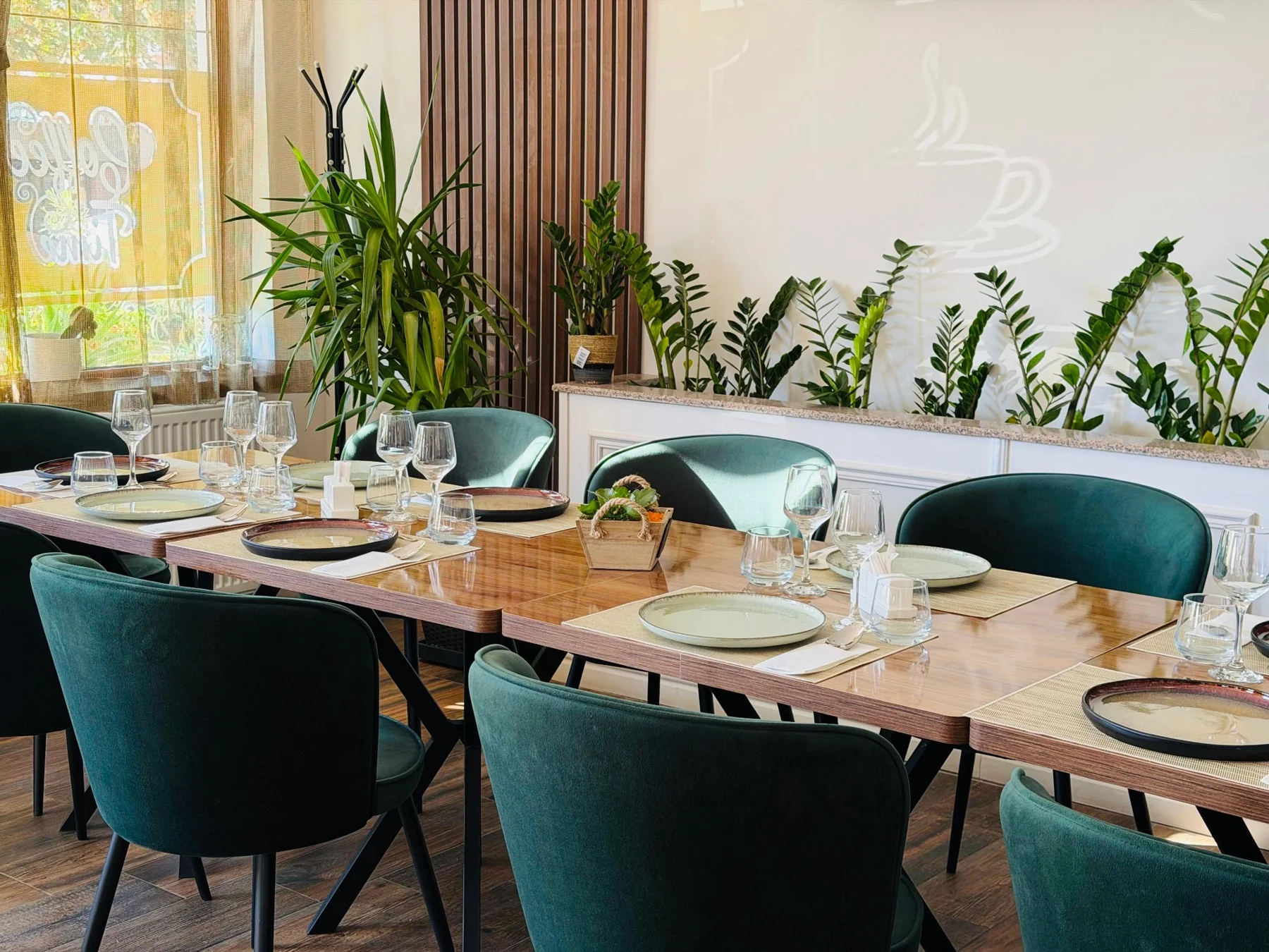 Lumină naturală, plante și mese pregătite în Restaurant Relax
